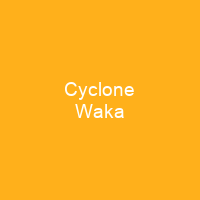 Cyclone Waka