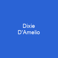 Dixie D'Amelio