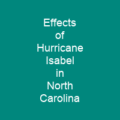 Effects of Hurricane Isabel in Maryland and Washington, D.C.