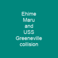 Ehime Maru and USS Greeneville collision