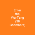 Enter the Wu-Tang (36 Chambers)