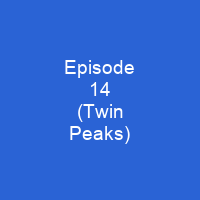 Episode 14 (Twin Peaks)
