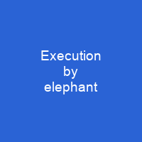 Execution by elephant