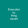 Execution van