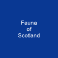 Fauna of Scotland