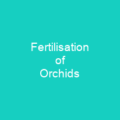 Fertilisation of Orchids
