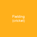 Fielding (cricket)