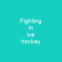 Fighting in ice hockey