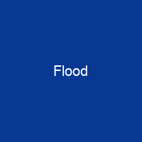 Flood