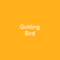 Golding Bird