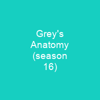 Grey's Anatomy (season 16)