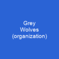 Grey Wolves (organization)