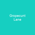 Gropecunt Lane