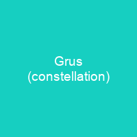 Grus (constellation)