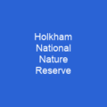Holkham National Nature Reserve