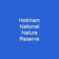 Holkham National Nature Reserve