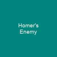 Homer's Enemy