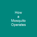 How a Mosquito Operates