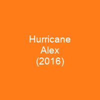 Hurricane Alex (2016)