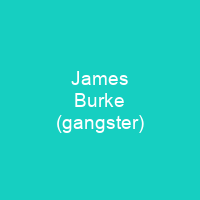 James Burke (gangster)