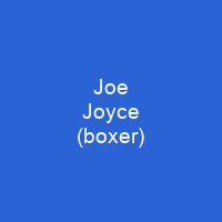 Joe Joyce (boxer)