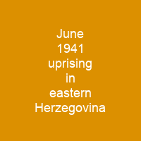June 1941 uprising in eastern Herzegovina