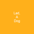 Lad, A Dog