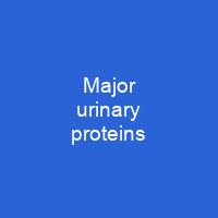 Major urinary proteins