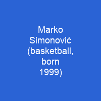 Marko Simonović (basketball, born 1999)