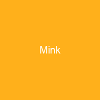 Mink