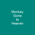 Monkey Gone to Heaven
