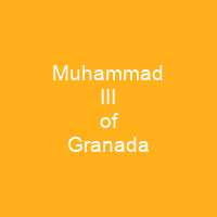 Muhammad III of Granada