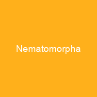 Nematomorpha