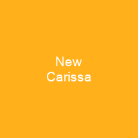 New Carissa