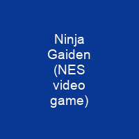 Ninja Gaiden (NES video game)