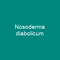 Nosoderma diabolicum