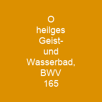 O heilges Geist- und Wasserbad, BWV 165
