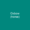 Oxbow (horse)