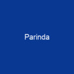 Parinda