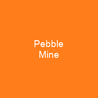 Pebble Mine