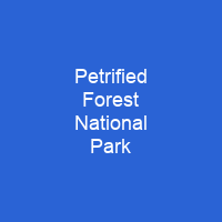 Petrified Forest National Park