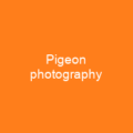 Passenger pigeon
