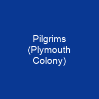 Pilgrims (Plymouth Colony)