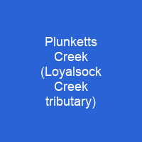 Plunketts Creek (Loyalsock Creek tributary)