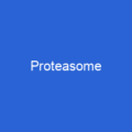 Proteasome