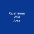 Quehanna Wild Area