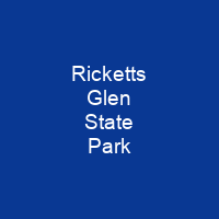 Ricketts Glen State Park