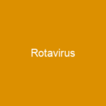 Rotavirus