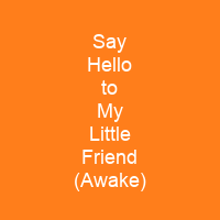 Say Hello to My Little Friend (Awake)