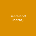 Secretariat (horse)